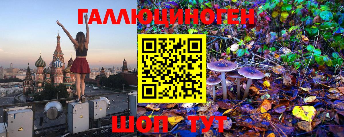 Псилоцибиновые грибы Psilocybine cubensis  Вход с VPN  Иваново 