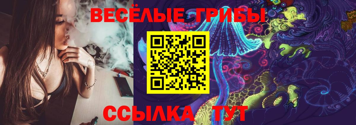 Галлюциногенные грибы Psilocybe Иваново