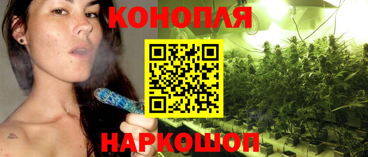 Конопля OG Kush Иваново